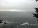 ./images/koeye/fitz-hugh/20210421/fitz-hugh20210421_080002.jpg