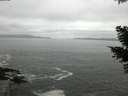 ./images/koeye/fitz-hugh/20210421/fitz-hugh20210421_100002.jpg