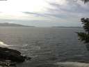 ./images/koeye/fitz-hugh/20210421/fitz-hugh20210421_140002.jpg
