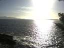 ./images/koeye/fitz-hugh/20210421/fitz-hugh20210421_180001.jpg