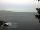 ./images/koeye/fitz-hugh/20210422/fitz-hugh20210422_060001.jpg