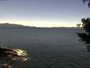 ./images/koeye/fitz-hugh/20210422/fitz-hugh20210422_120001.jpg