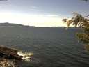 ./images/koeye/fitz-hugh/20210422/fitz-hugh20210422_140001.jpg