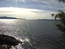 ./images/koeye/fitz-hugh/20210422/fitz-hugh20210422_160002.jpg