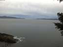 ./images/koeye/fitz-hugh/20210423/fitz-hugh20210423_060001.jpg