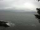 ./images/koeye/fitz-hugh/20210423/fitz-hugh20210423_140001.jpg