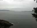 ./images/koeye/fitz-hugh/20210423/fitz-hugh20210423_180001.jpg