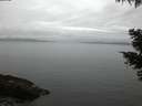 ./images/koeye/fitz-hugh/20210424/fitz-hugh20210424_060002.jpg