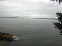 ./images/koeye/fitz-hugh/20210424/fitz-hugh20210424_080001.jpg