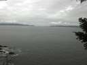 ./images/koeye/fitz-hugh/20210424/fitz-hugh20210424_100002.jpg