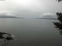 ./images/koeye/fitz-hugh/20210424/fitz-hugh20210424_140001.jpg