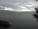 ./images/koeye/fitz-hugh/20210424/fitz-hugh20210424_160002.jpg