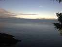 ./images/koeye/fitz-hugh/20210425/fitz-hugh20210425_080001.jpg