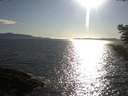 ./images/koeye/fitz-hugh/20210425/fitz-hugh20210425_180001.jpg