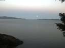 ./images/koeye/fitz-hugh/20210426/fitz-hugh20210426_060001.jpg