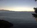 ./images/koeye/fitz-hugh/20210426/fitz-hugh20210426_080002.jpg