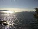 ./images/koeye/fitz-hugh/20210426/fitz-hugh20210426_160001.jpg