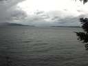 ./images/koeye/fitz-hugh/20210427/fitz-hugh20210427_140002.jpg