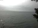 ./images/koeye/fitz-hugh/20210428/fitz-hugh20210428_140002.jpg