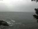 ./images/koeye/fitz-hugh/20210428/fitz-hugh20210428_180002.jpg