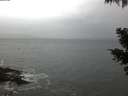 ./images/koeye/fitz-hugh/20210429/fitz-hugh20210429_060001.jpg