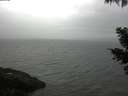 ./images/koeye/fitz-hugh/20210429/fitz-hugh20210429_080002.jpg