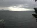 ./images/koeye/fitz-hugh/20210429/fitz-hugh20210429_160001.jpg