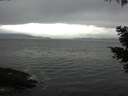 ./images/koeye/fitz-hugh/20210430/fitz-hugh20210430_074502.jpg