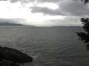 ./images/koeye/fitz-hugh/20210430/fitz-hugh20210430_100001.jpg
