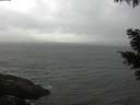 ./images/koeye/fitz-hugh/20210430/fitz-hugh20210430_120001.jpg