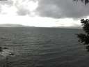 ./images/koeye/fitz-hugh/20210430/fitz-hugh20210430_180002.jpg