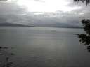 ./images/koeye/fitz-hugh/20210501/fitz-hugh20210501_060001.jpg