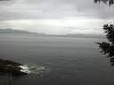 ./images/koeye/fitz-hugh/20210501/fitz-hugh20210501_080002.jpg