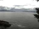 ./images/koeye/fitz-hugh/20210501/fitz-hugh20210501_140002.jpg