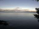./images/koeye/fitz-hugh/20210502/fitz-hugh20210502_080002.jpg