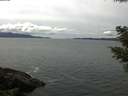 ./images/koeye/fitz-hugh/20210502/fitz-hugh20210502_140002.jpg
