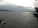 ./images/koeye/fitz-hugh/20210502/fitz-hugh20210502_180001.jpg