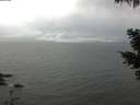 ./images/koeye/fitz-hugh/20210503/fitz-hugh20210503_080002.jpg