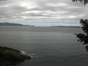 ./images/koeye/fitz-hugh/20210503/fitz-hugh20210503_120002.jpg