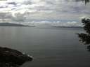 ./images/koeye/fitz-hugh/20210503/fitz-hugh20210503_140002.jpg