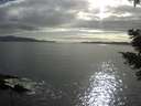./images/koeye/fitz-hugh/20210503/fitz-hugh20210503_180002.jpg