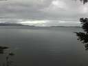 ./images/koeye/fitz-hugh/20210504/fitz-hugh20210504_080002.jpg