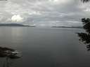 ./images/koeye/fitz-hugh/20210504/fitz-hugh20210504_100001.jpg