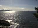 ./images/koeye/fitz-hugh/20210504/fitz-hugh20210504_160001.jpg