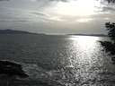 ./images/koeye/fitz-hugh/20210504/fitz-hugh20210504_180002.jpg