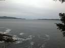 ./images/koeye/fitz-hugh/20210505/fitz-hugh20210505_060001.jpg