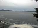 ./images/koeye/fitz-hugh/20210505/fitz-hugh20210505_080002.jpg