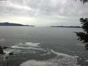 ./images/koeye/fitz-hugh/20210505/fitz-hugh20210505_100002.jpg
