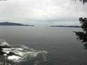 ./images/koeye/fitz-hugh/20210505/fitz-hugh20210505_120001.jpg