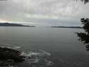 ./images/koeye/fitz-hugh/20210505/fitz-hugh20210505_140002.jpg